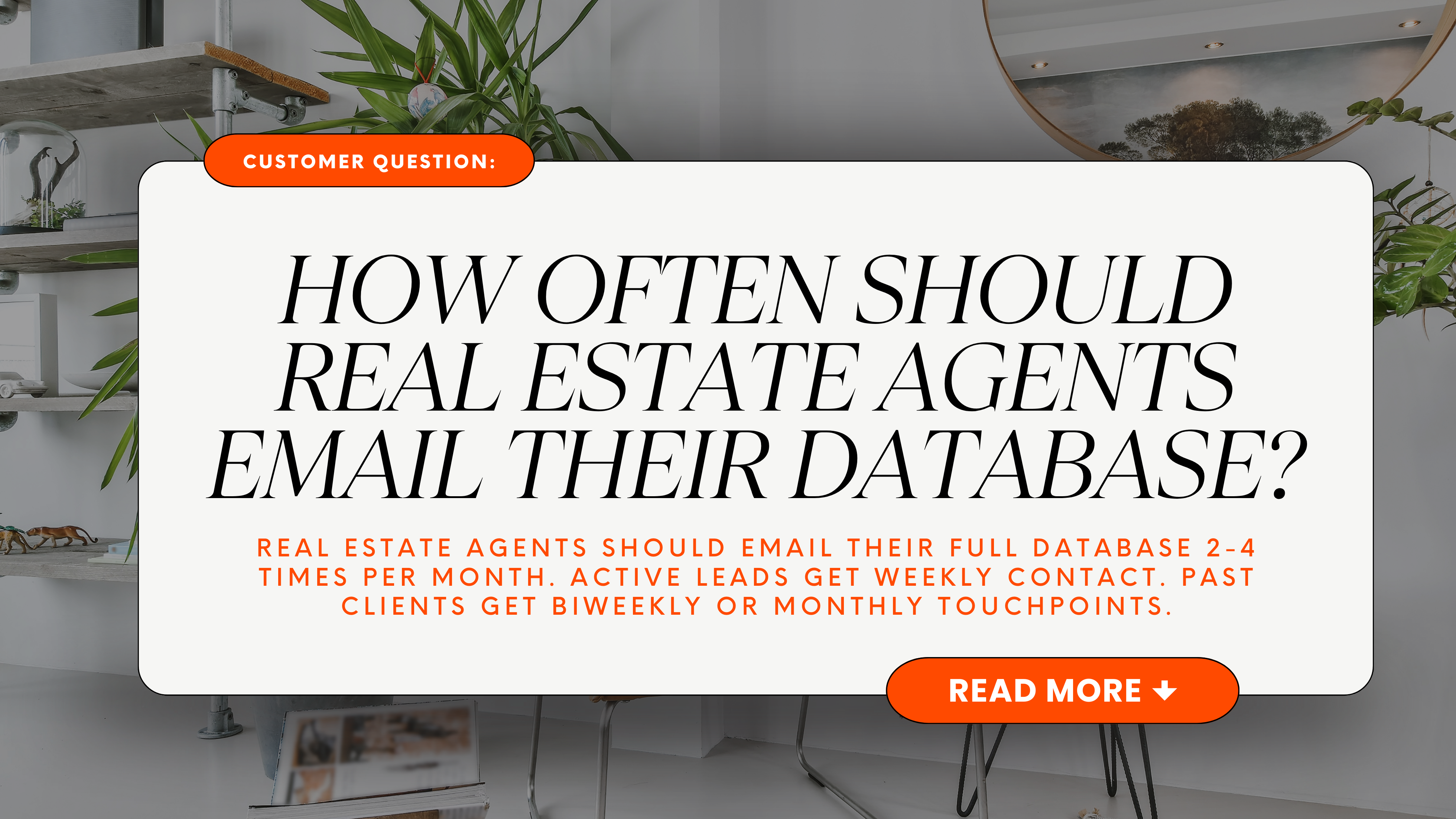 How often should real estate agents email their database?