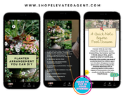 June Social Media Newsletter