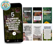 May Social Media Newsletter
