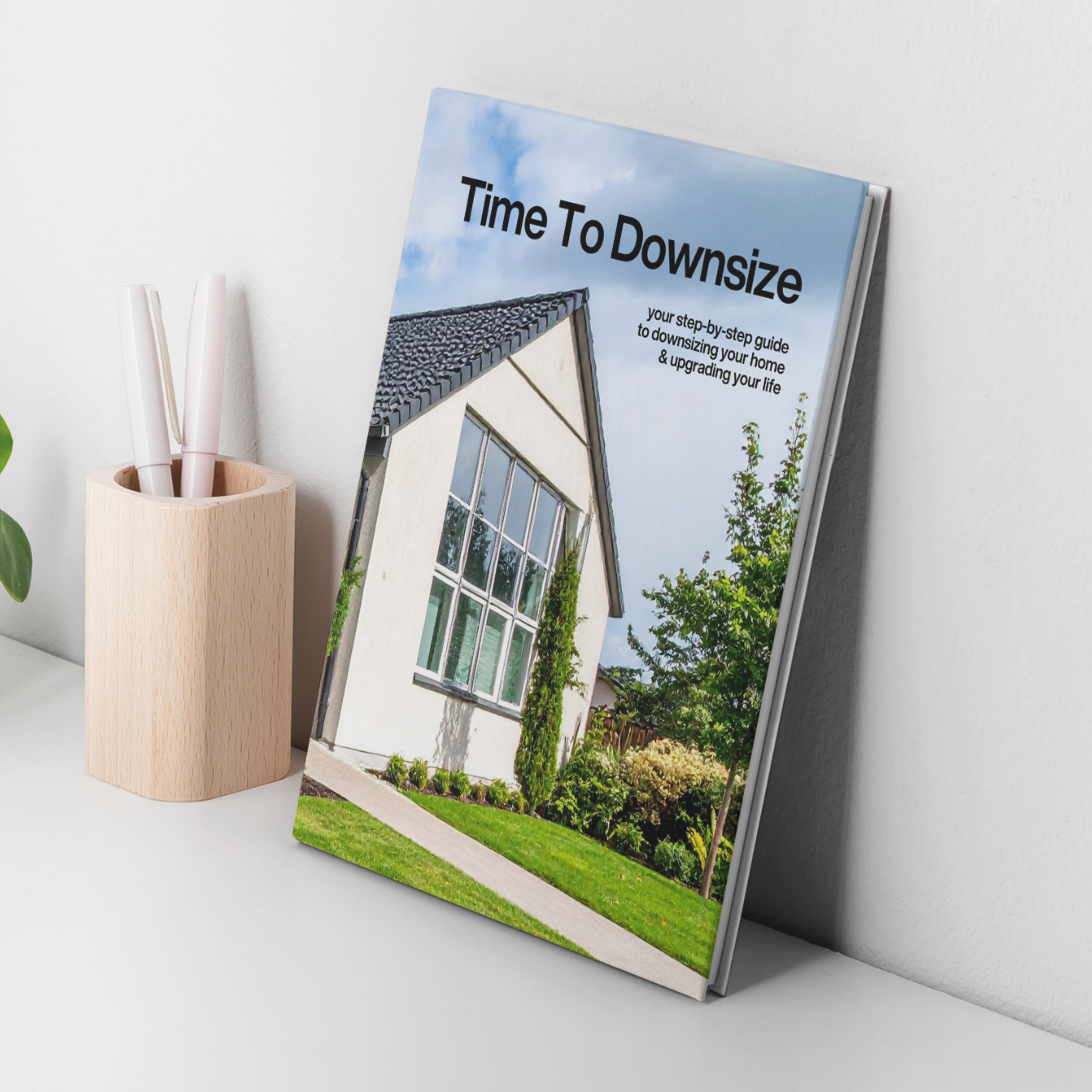 The Downsizing Marketing System