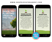 October 2025 Story Newsletter