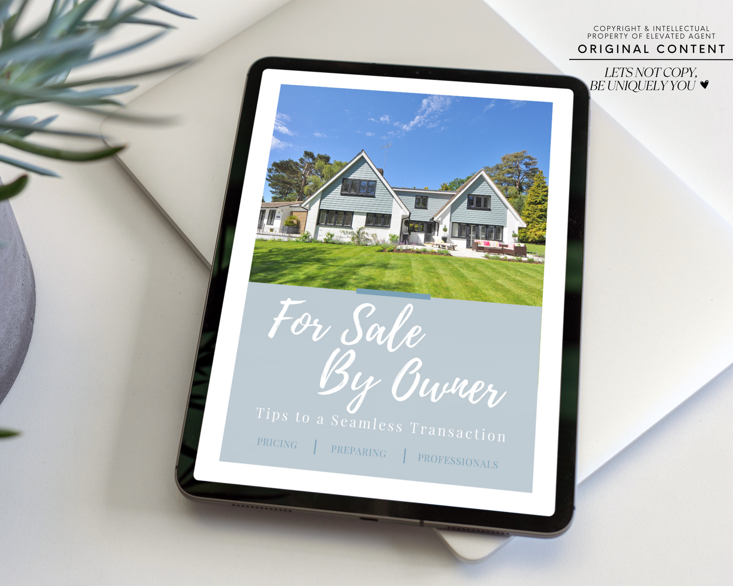 Real Estate FSBO Guide - For Sale By Owner Handout 