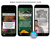 May Social Media Newsletter