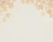 FALL  Neighborhood POSTCARD 2